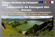 Painel VI – A EDS e a Comunicação em Ciência: Miguel Ferreira (SRRN-Açores) - Recuperação Ecológica e Paisagística da Bacia Hidrográfica da Lagoa das Furnas