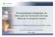Frederico Bichara - Perspectivas e Impactos do mercado de consumo de Gás Natural no Espírito Santo