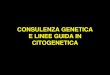 Consulenza Genetica e Cenni Di Etica