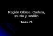 Región Glútea, Cadera, Muslo y Rodilla (Teorico N° 8)