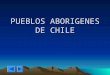 Pueblos Aborigenes de Chile