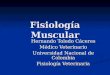 Fisiología Muscular Blog