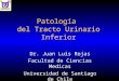 19 20-Uropatología (Vejiga, próstata, testiculo y pene)