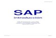 Manual de Sap r3 Enterprise Caste Llano)