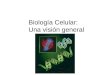 1.-Biología Celular