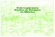 Guía legal para dueños de bosques