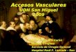 Clase UDH Accesos Vasculares