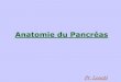 anatomie du pancréas