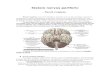 Nervii Cranieni-referat Anatomie