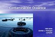 Contaminacion Oceanica (Zunilda McDougal)