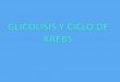 Glicolisis y Ciclo de Krebs