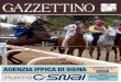 Gazzettino Senese n°101