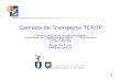 Protocolos de Transporte Tcp e Udp