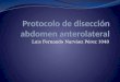 Protocolo de disección abdomen anterolateral