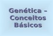 Genética (Conceitos básicos)