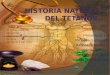 Historia Natural Del Tetanos