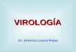 Clase 1 - Virologia Medica - Dr[1]. Leyva