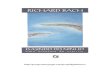 Richard Bach - Fugindo Do Ninho