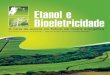 Etanol e bioeletricidade - A cana-de-açúcar na matriz energética brasileira