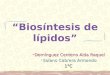 BIOSINTESIS  DE LIPIDOS