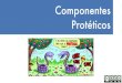 Tipos de Componentes Protéticos