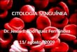 citologia sangre
