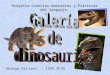 Proyecto Galería de Dinosaurios
