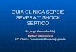 491636 Guia Clinica Sepsis Severa y Shock Septico