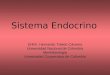 4. Ciclos endocrinos F