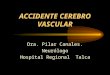 AVE Medicina Pilar Canales