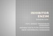 Inhibitor Enzim