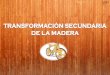 TRANSFORMACIÓN SECUNDARIA   DE LA MADERA Y FABRICACION CON MADERA