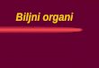 Biljni organi