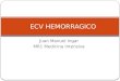 EVC Hemorragica