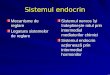 Sistemul endocrin slide 2008