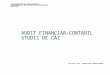 Audit Financiar-Contabil - Studii de Caz licenta