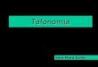 2 Tafonomia