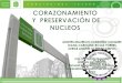 Corazonamiento y Preservacion de Nucleos [Modo de ad