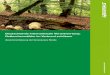 Schutzgebiete für Buchenwälder