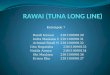 Rawai (Tuna Long Line)