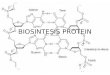 Biosintesis Protein Smngattt