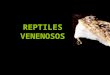 Reptiles Venenosos