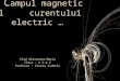 Campul Magnetic Al Curentului Electric