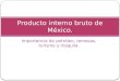 Producto interno bruto de México