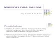 Mikroflora Saliva Drg Aurel