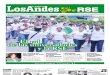 Suplemento de El Diario de Los Andes RSE: Empresas que generan confianza  JULIO 2011