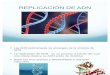 Genetica Replicacion de ADN