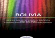 Bolivia Nueva Constitucion Politica