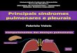 Sindromes Parenquimatosas Pulmonares e Pleurais