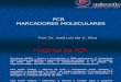 Aula 04 PCR e Mar Cad Ores Moleculares Farmacia
